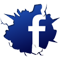 ZdayZ on facebook